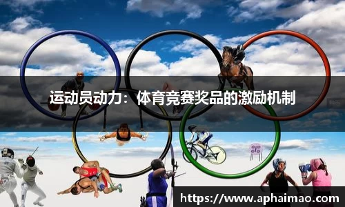 运动员动力：体育竞赛奖品的激励机制
